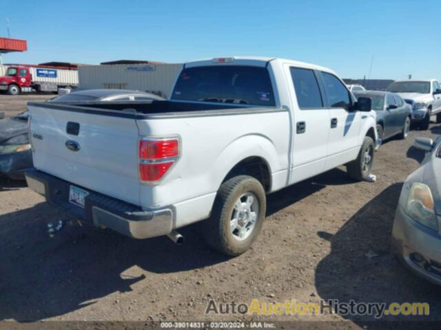 FORD F-150 XL/XLT, 1FTEW1E8XAFD67527