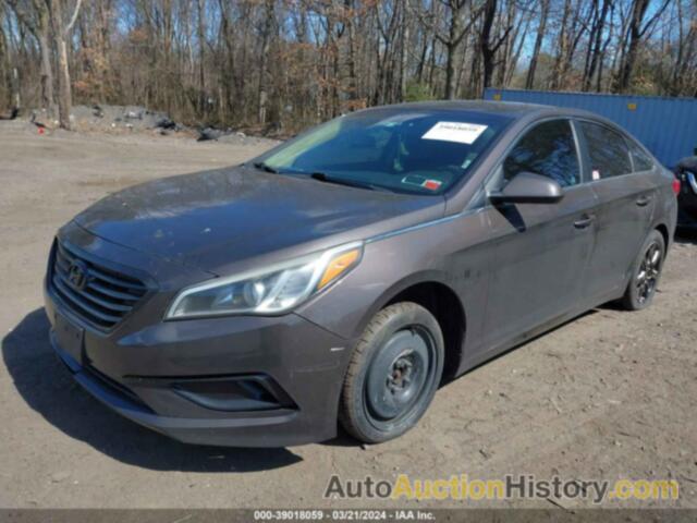 HYUNDAI SONATA, 5NPE24AF2HH534772