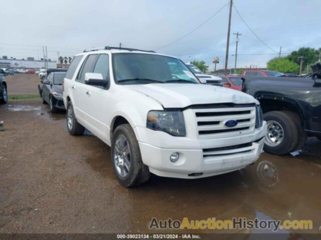 FORD EXPEDITION LIMITED, 1FMJU2A58AEA64155