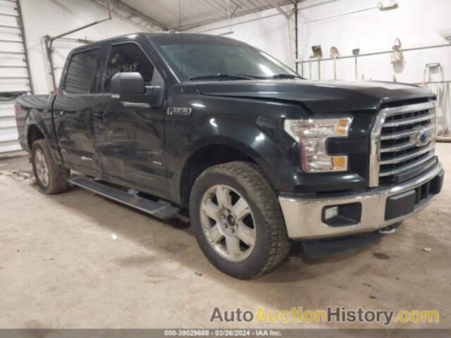 FORD F-150 XLT, 1FTEW1EG3FKD97653