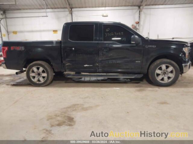 FORD F-150 XLT, 1FTEW1EG3FKD97653