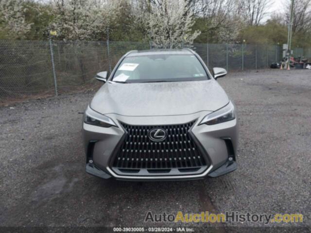 LEXUS NX 250, 2T2ADCAZ6RC010067