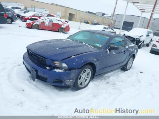 FORD MUSTANG V6/V6 PREMIUM, 1ZVBP8AN4A5123413