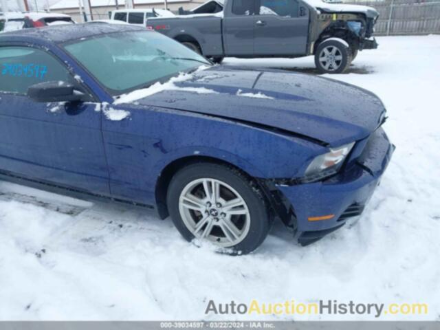 FORD MUSTANG V6/V6 PREMIUM, 1ZVBP8AN4A5123413