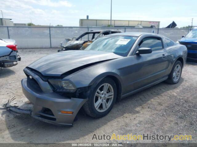 FORD MUSTANG V6, 1ZVBP8AM5E5331037