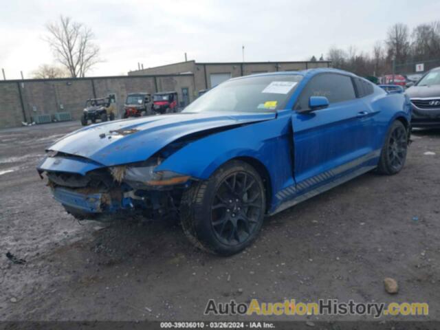 FORD MUSTANG, 1FA6P8TH2K5203084