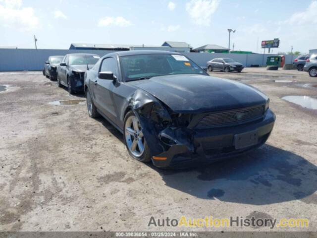 FORD MUSTANG V6, 1ZVBP8AM9C5272541