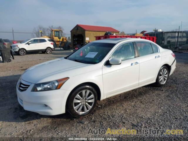 HONDA ACCORD 3.5 EX-L, 1HGCP3F85CA038038