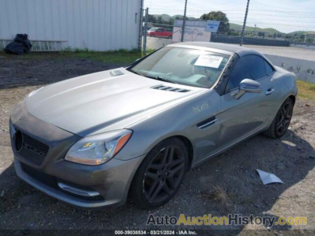 MERCEDES-BENZ SLK 250, WDDPK4HA3EF077579