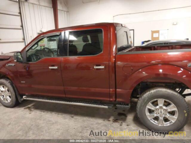 FORD F-150 XLT, 1FTEW1EP9FKD07812