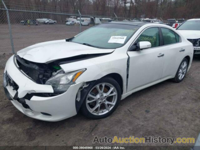 NISSAN MAXIMA 3.5 SV, 1N4AA5AP3DC816513