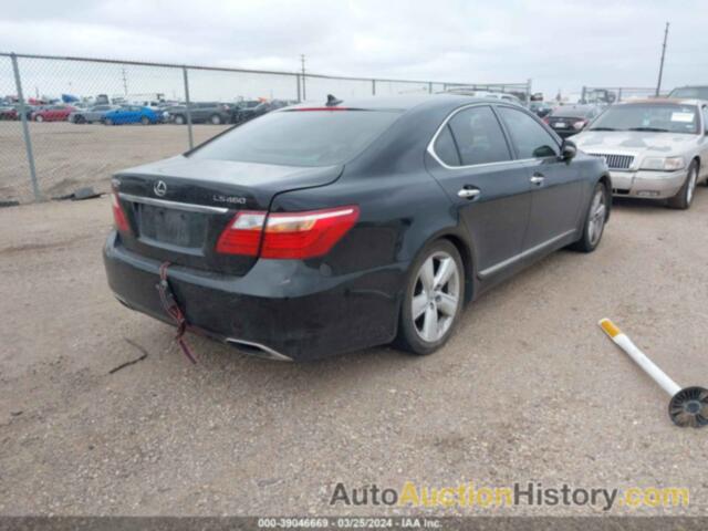 LEXUS LS 460, JTHBL5EF9B5105912