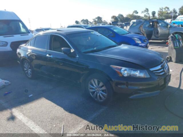 HONDA ACCORD EXL, 1HGCP3F87BA018744