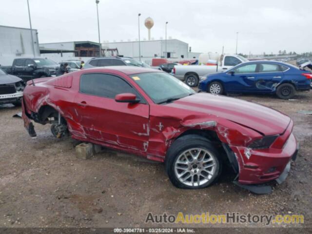 FORD MUSTANG, 1ZVBP8AM6E5296511