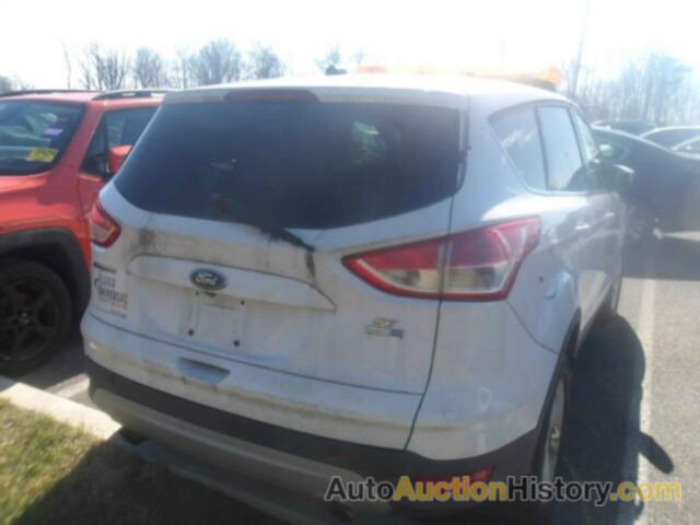 FORD ESCAPE SE, 1FMCU9GX1EUB11452