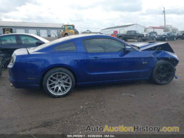 FORD MUSTANG GT, 1ZVBP8CF8E5324047