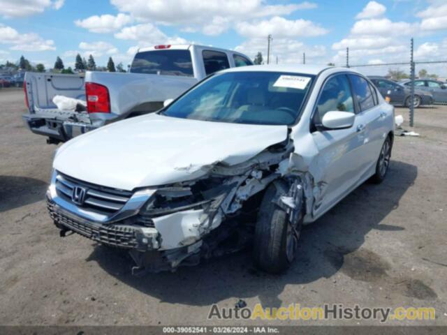 HONDA ACCORD LX, 1HGCR2F33DA064776