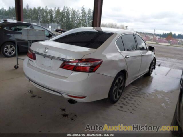 HONDA ACCORD EX-L, 1HGCR2F96GA000806