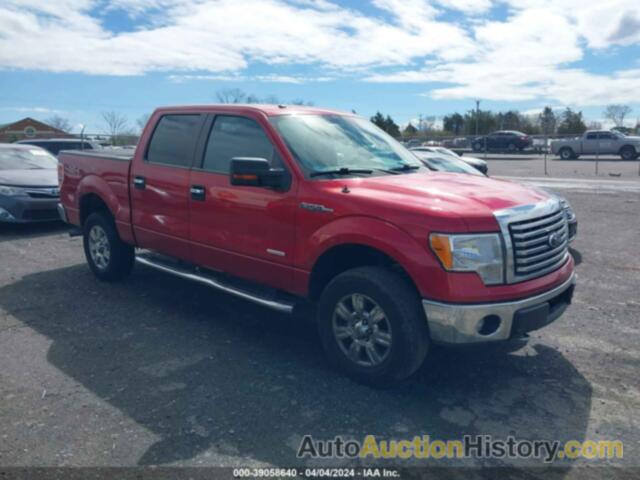 FORD F-150 XLT, 1FTFW1ET6CKE03572