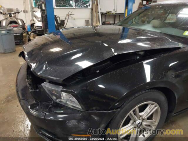 FORD MUSTANG V6, 1ZVBP8EMXE5208215