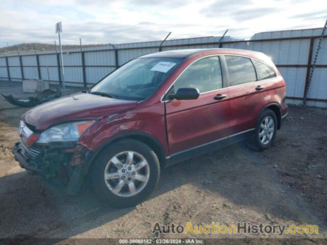 HONDA CR-V EX, JHLRE38557C053914