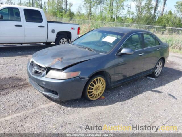 ACURA TSX, JH4CL96855C012719