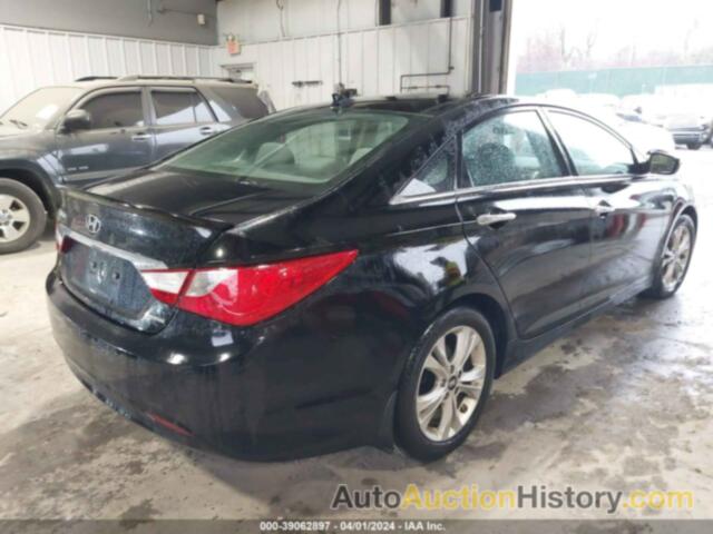 HYUNDAI SONATA LIMITED, 5NPEC4AC9DH595856