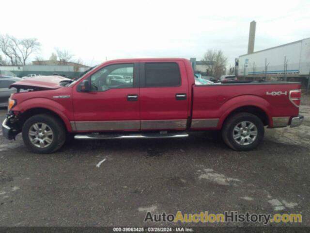 FORD F-150 FX4/KING RANCH/LARIAT/PLATINUM/XL/XLT, 1FTPW14V69FA87597