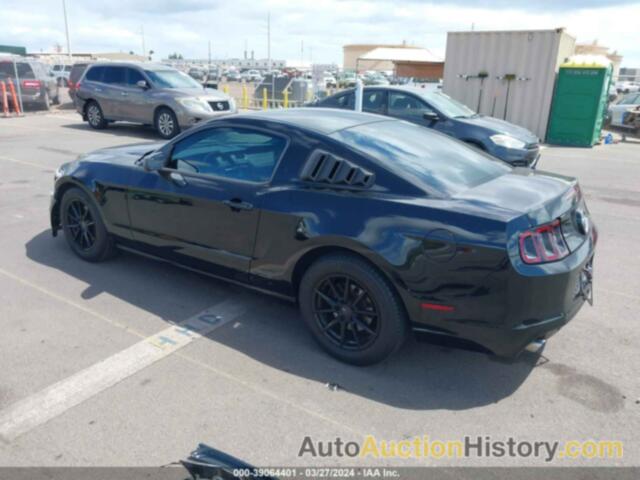 FORD MUSTANG V6, 1ZVBP8AM3E5255009