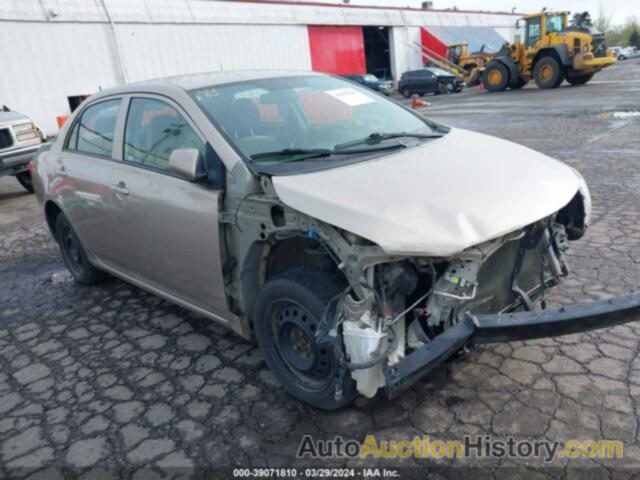 TOYOTA COROLLA LE, 2T1BU4EEXAC412569