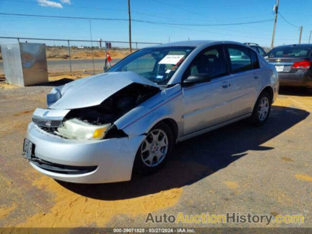 SATURN ION LEVEL 2, 1G8AZ52F13Z132140