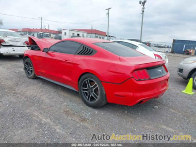 FORD MUSTANG ECOBOOST, 1FA6P8TH0G5210431