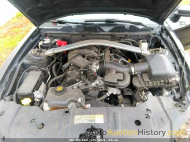 FORD MUSTANG V6, 1ZVBP8EM1E5297107