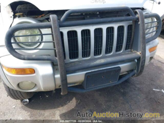 JEEP LIBERTY RENEGADE, 1J4GL38K22W350267