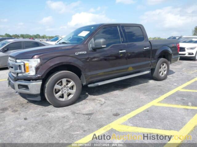 FORD F-150 XLT, 1FTEW1EP1JFC90697