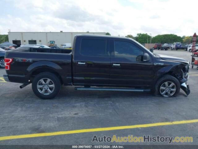 FORD F-150 XLT, 1FTEW1EP1JFC90697