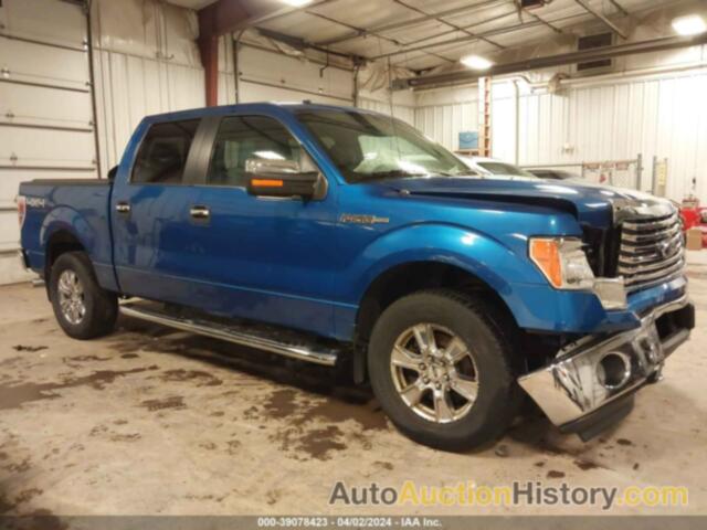 FORD F-150 XLT, 1FTFW1EFXCFA87774