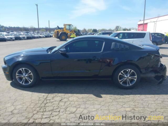 FORD MUSTANG V6 PREMIUM, 1ZVBP8AM7E5281726