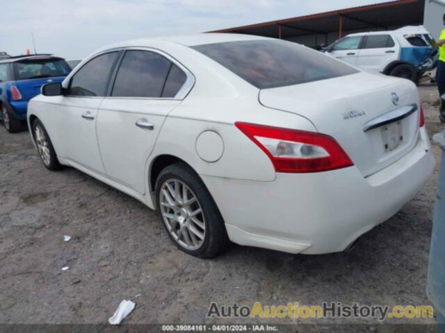 NISSAN MAXIMA 3.5 S, 1N4AA5AP5BC844326