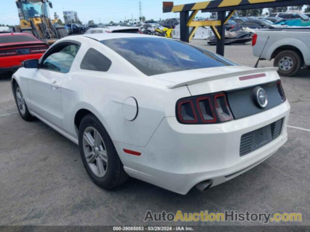 FORD MUSTANG V6, 1ZVBP8AM6D5252913