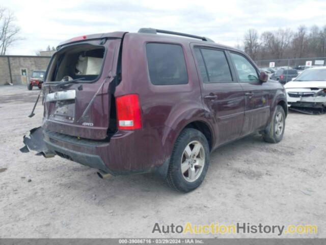 HONDA PILOT EX-L, 5FNYF4H54BB007241