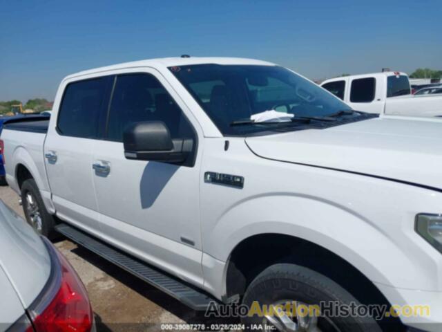 FORD F-150 XLT, 1FTEW1CG0FKE28442