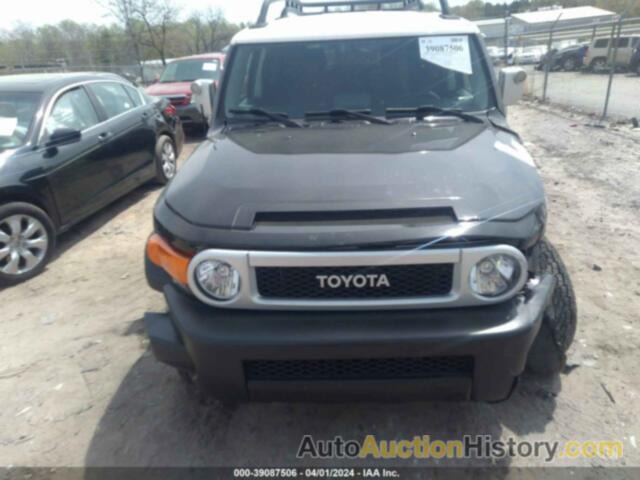 TOYOTA FJ CRUISER, JTEBU4BF0DK160309