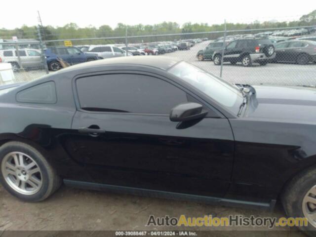 FORD MUSTANG V6/V6 PREMIUM, 1ZVBP8AN5A5152581