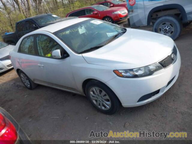 KIA FORTE EX, KNAFU4A27C5491225