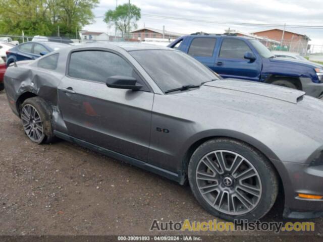 FORD MUSTANG GT PREMIUM, 1ZVBP8CF2C5269575