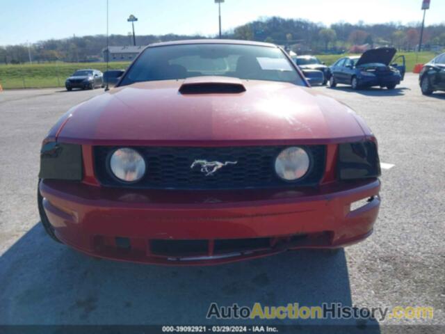 FORD MUSTANG, 1ZVHT82H395136664