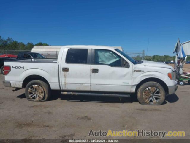 FORD F-150 XLT, 1FTFW1ET4DFA80679