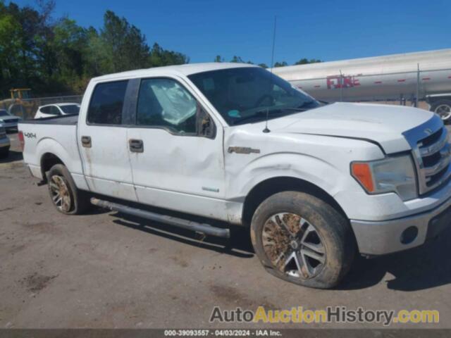 FORD F-150 XLT, 1FTFW1ET4DFA80679