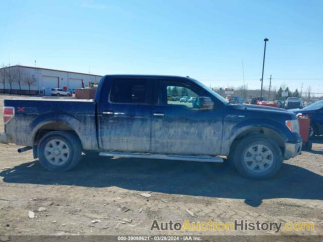 FORD F-150 XLT, 1FTFW1ET4EFB22916